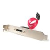 1 PORT eSATA External Slot Plate