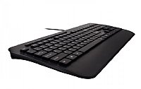 V7 Professional USB Multimedia Keyboard Combo - Optical - 1600 dpi - 6 Button - QWERTY 