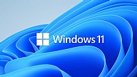 Microsoft FQC-10529 Windows 11 Professional 64Bit 1PK EN DSP OEI DVD with install Flash Drive
