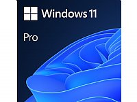 Microsoft FQC-10529 Windows 11 Professional 64Bit 1PK EN DSP OEI DVD with install Flash Drive (for system orders Windows 10 Pro install available upon request)