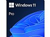 Microsoft FQC-10529 Windows 11 Professional 64Bit 1PK EN DSP OEI DVD with install Flash Drive (for system orders Windows 10 Pro install available upon request)
